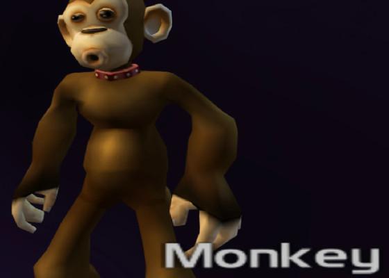 monkey