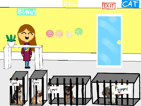 The pet shop! 1