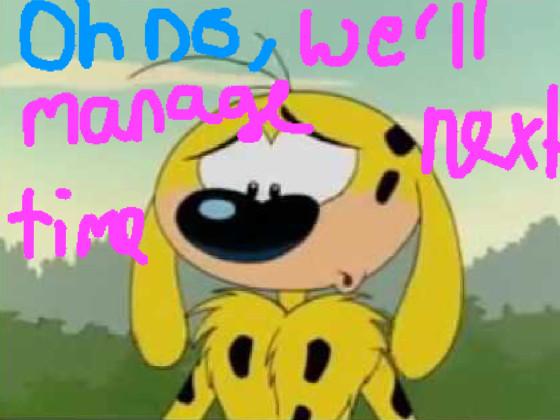 Save the Marsupilami 1