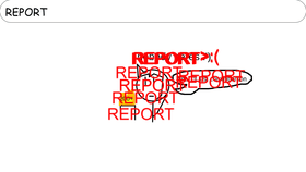 REPORT