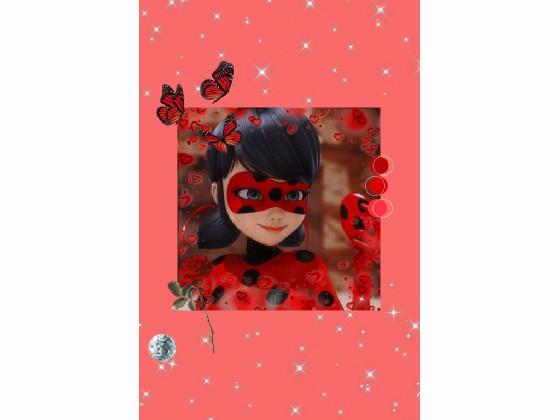 ✨❤️👌ladybug✨❤️👌