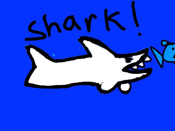 Shark! 1 1 1