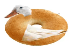 DUCK IS BAGEL!!!!!!!!