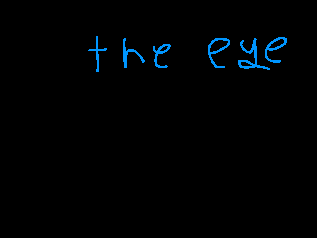 The eye