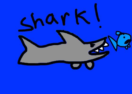 Shark! 1 1