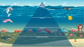 Ocean Ecological Pyramid