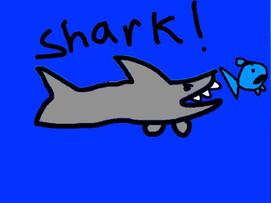 Shark! 1 1