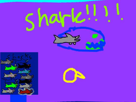 Shark! 1