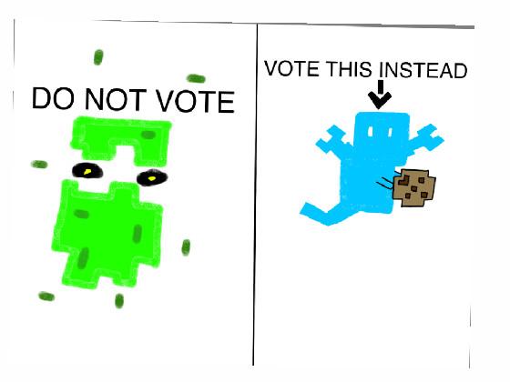 VOTE THE ALLAY!