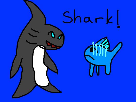 Shark! 