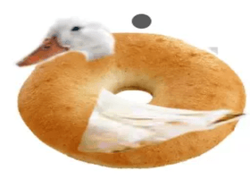 DUCK IS BAGEL!!!!!!!!