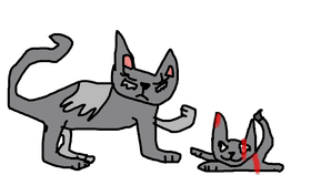 warrior cats