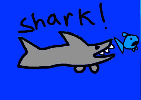 Shark!