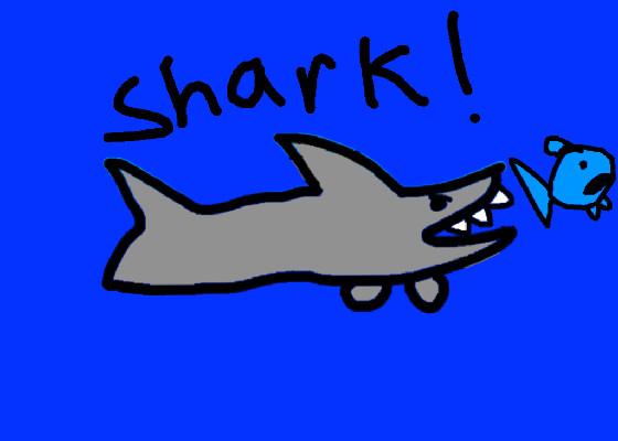 Shark! 1 3