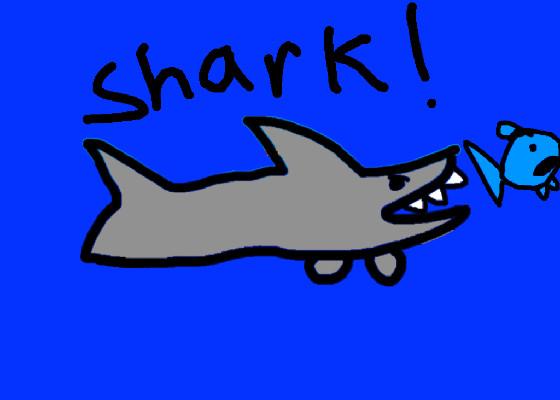 Shark! 1 1better!