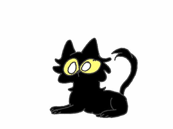 Black Cat