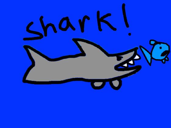 Shark! 1 1