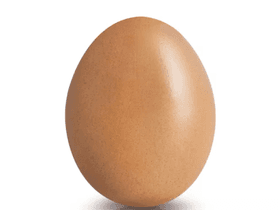 Egg