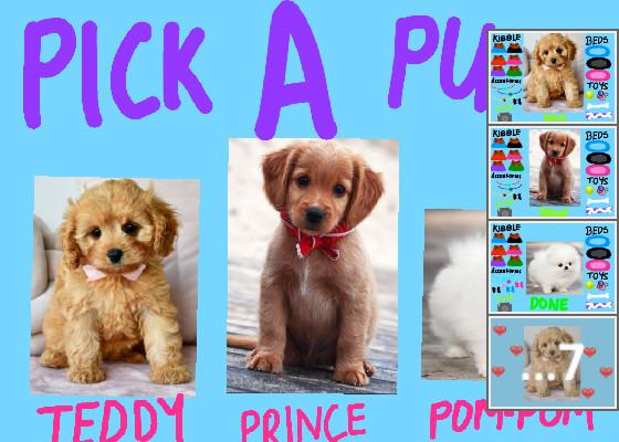 Adopt A Puppy 1