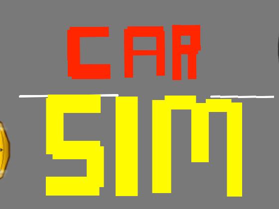 Car sim