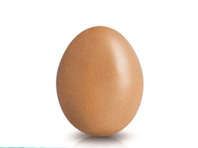 Mr. Egg