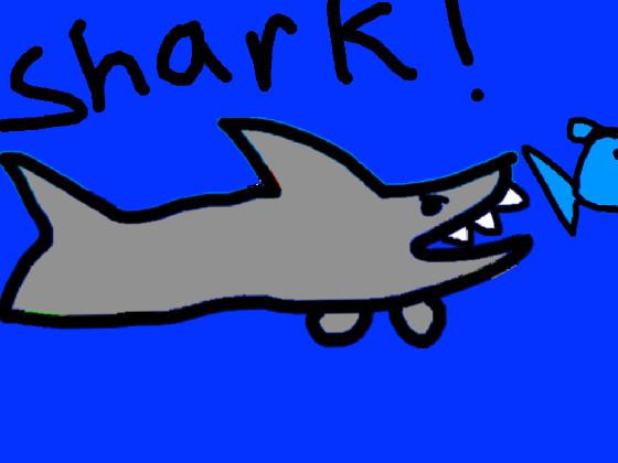 Shark! 1 1