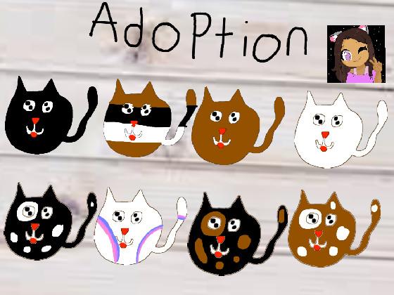  adopt cat’s 