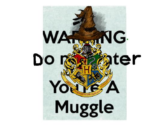 Hogwarts House Test (Harry Potter) 1