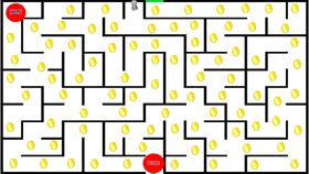 Maze Test