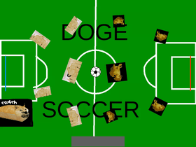 DOGE soccer stadium