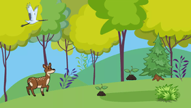 The Adventure of Mr.Deer