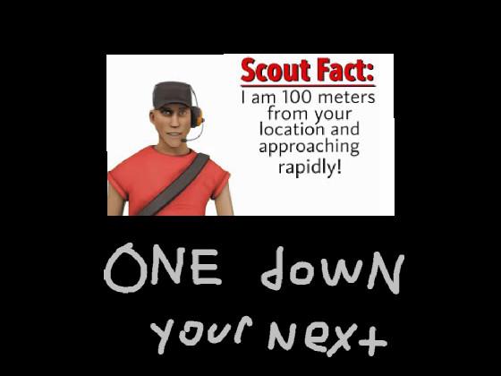scout fact