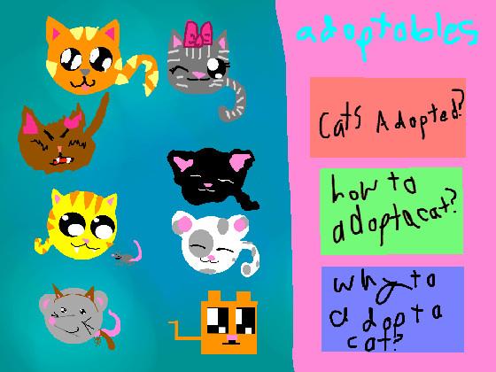 adopt a cat