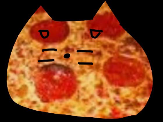 PIZZA KITTY IN THE HOUSE🏠