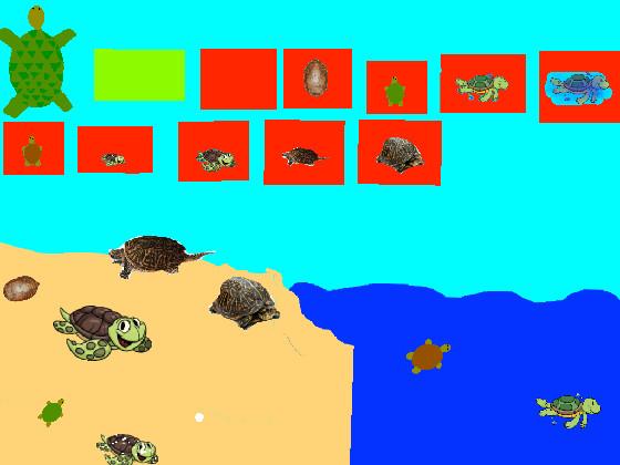 Turtle Clicker! 1 1