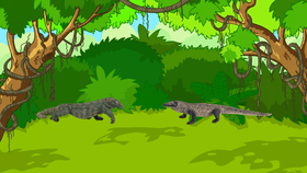 green komodo dragon vs komodo dragon