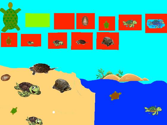 Turtle Clicker!  2