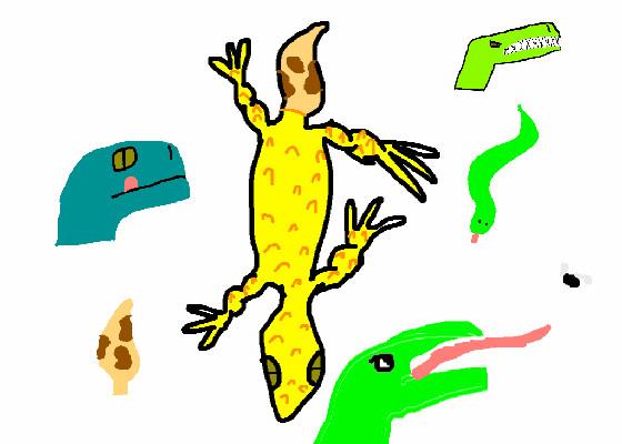 Reptile Animations