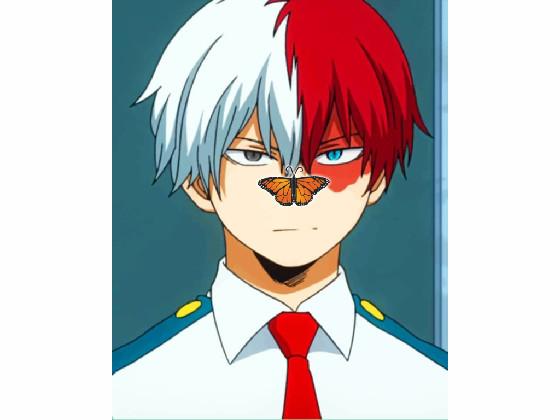 im shoto todoroki