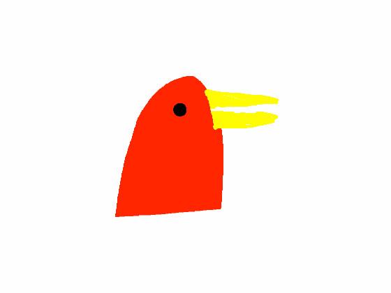 Bird Animation