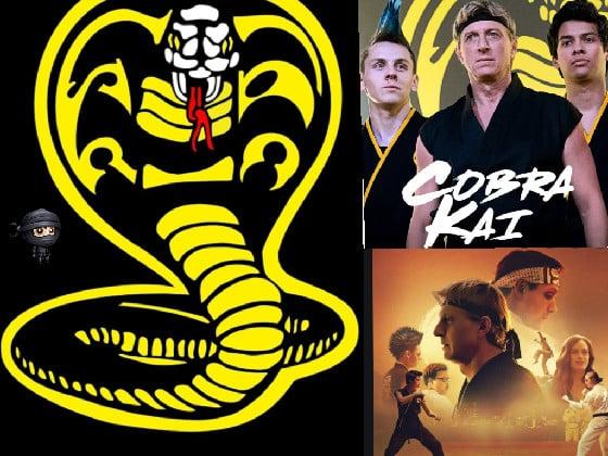 cobra kai rocks 😎