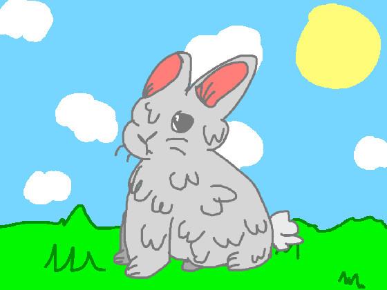 Learn To Draw A Rabbit