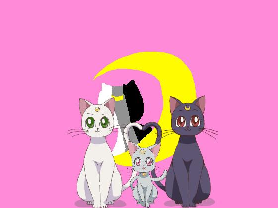 Sailor moon cats