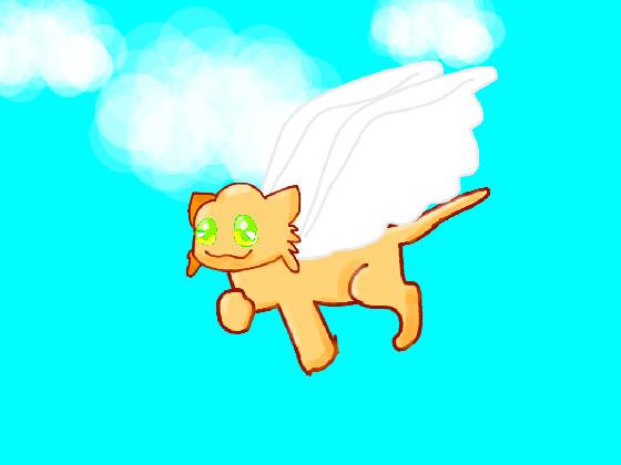 the flying cat