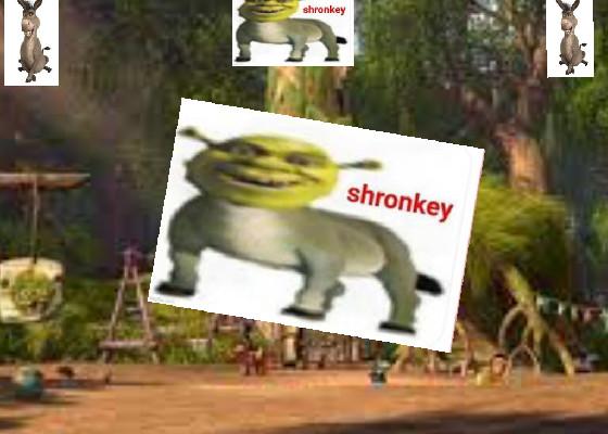 Shronkey tycoon