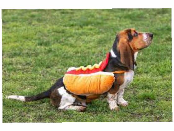 HOT DOG