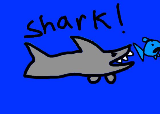 Shark! 1 1 1 1