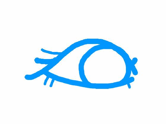 Eye Blink Test