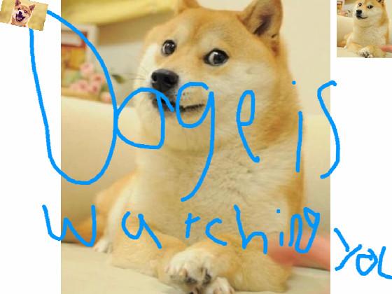 doge is watching you