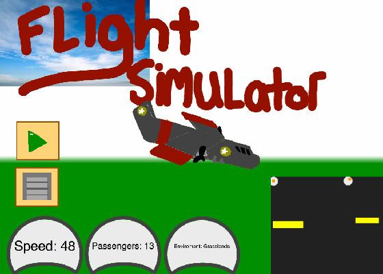 Flight Simulator